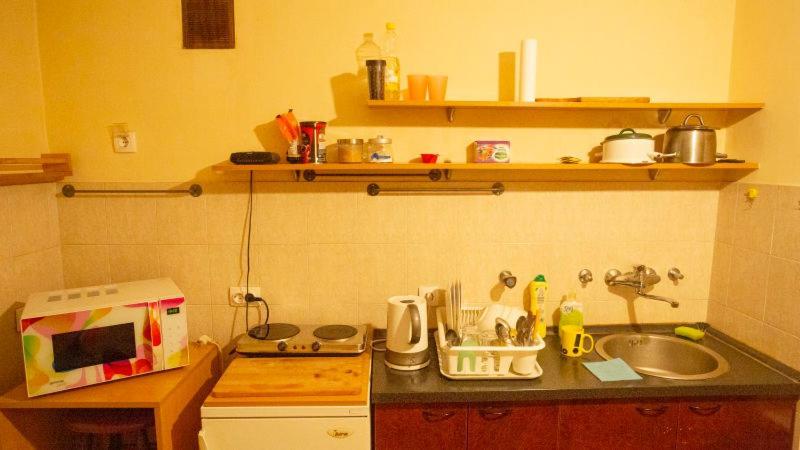 Private Cozy Room 1 With Shared Kitchen In Appartment, Downtown Belgrado Esterno foto